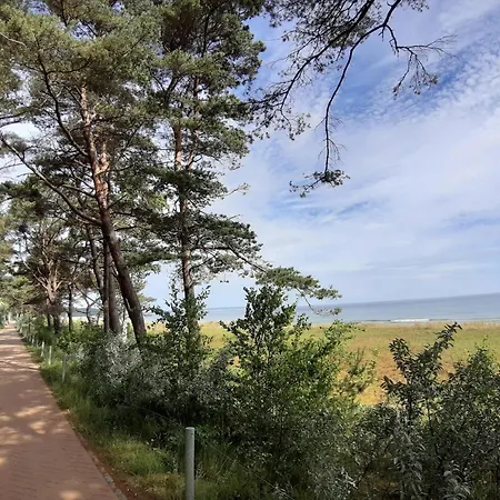 In Mit Naehe Zum Meeresstrand