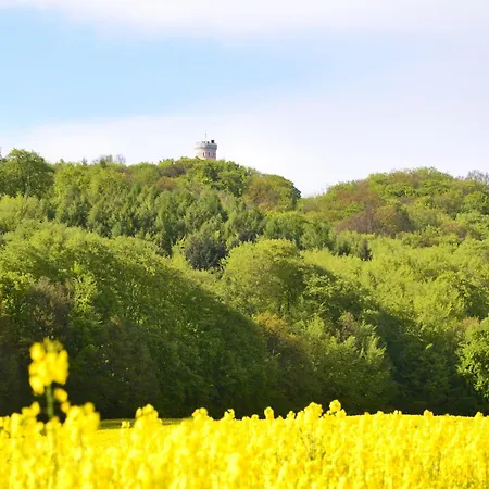 In Mit Naehe Zum Meeresstrand Daire *