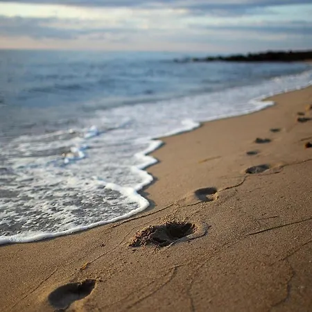 In Mit Naehe Zum Meeresstrand *