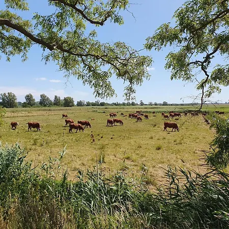 In Mit Naehe Zum Meeresstrand