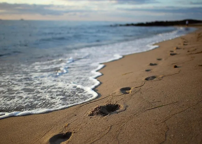 In Mit Naehe Zum Meeresstrand *