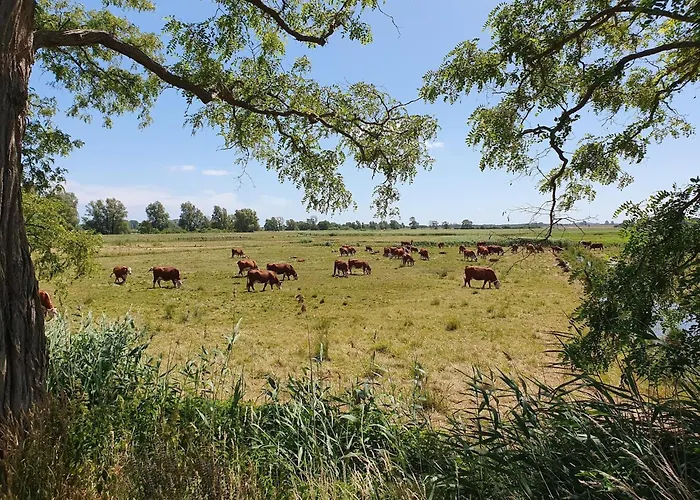 In Mit Naehe Zum Meeresstrand