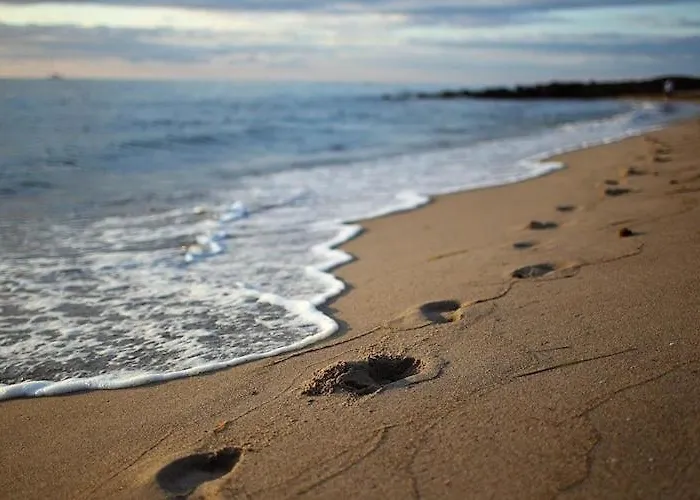 In Mit Naehe Zum Meeresstrand